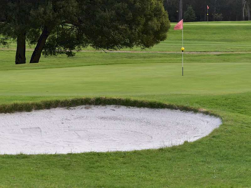 Placement of rakes in bunkers