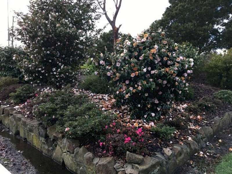 On Par - August 2021